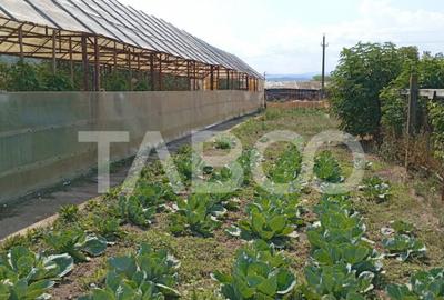 Casă cu 3 camere cu Teren 1130 Mp în Central - 4