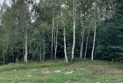 Casă cu 6 camere cu Teren 12500 Mp în Copăcelu - 9