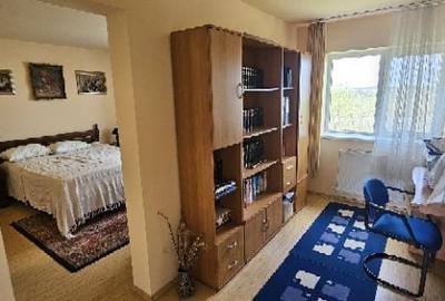 Ciopani vila 5 camere teren 4000 mp - 28