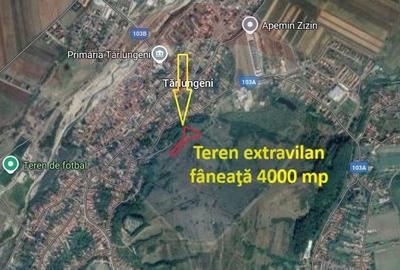 Teren extravilan, faneata, 4000 mp, Tarlungeni - 2