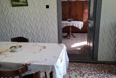 Casă individuală cu 5 camere cu Teren 3400 Mp în Central - 9