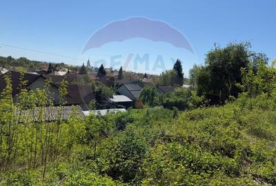 Teren Construcții intravilan de 760 mp, în Griviței - 8