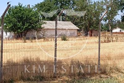 Ferma Pantelimon 10 hectare - 3