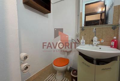 Apartament cu 3 camere decomandat, mobilat în Aradului - 11