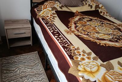 Apartament cu 2 camere semidecomandat, mobilat în Iancului - 11