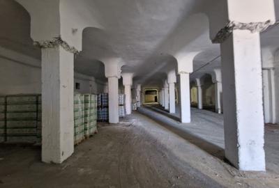 Spațiu industrial, în Brătianu - 6