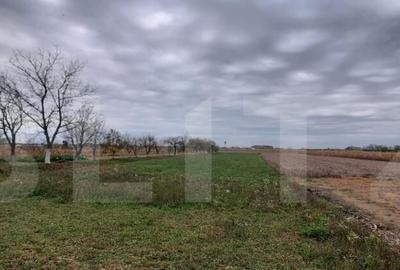 Casa de vanzare, 210 mp, Comuna Micula - 4