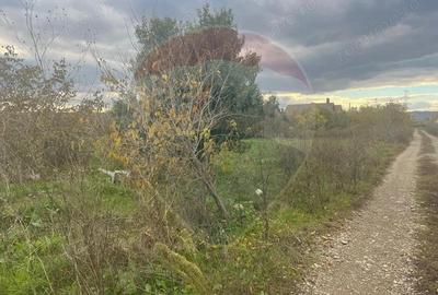 Teren intravilan Focsani / Strada Zabala - 6