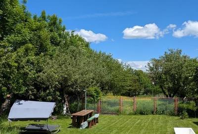 Casă cu 3 camere cu Teren 2987 Mp în Central - 4
