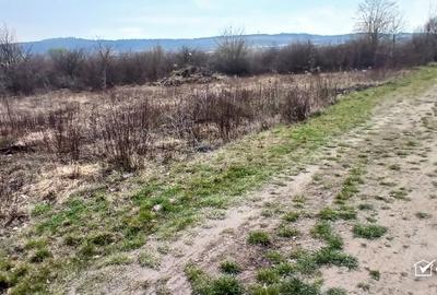 Teren Construcții intravilan de 600 mp, în Bună Ziua - 2