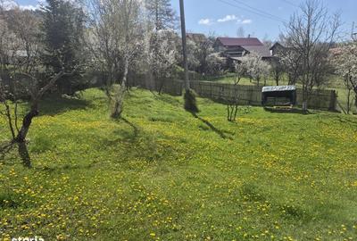 Casă cu 3 camere cu Teren 1400 Mp în Central - 9