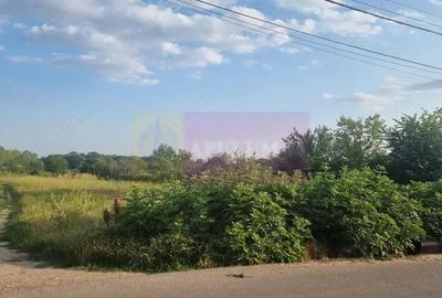 Se vinde teren 2150 mp in Teisori Giurgiu - 7