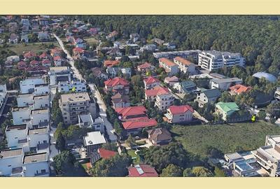 Iancu Nicolae 1.720 mp - 3