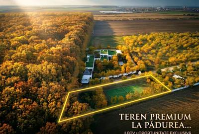 Teren în Afumați - 5