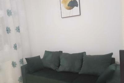 Drumul Taberei, ANL Brancusi, Coloana Infinitului, ocazie! - 2