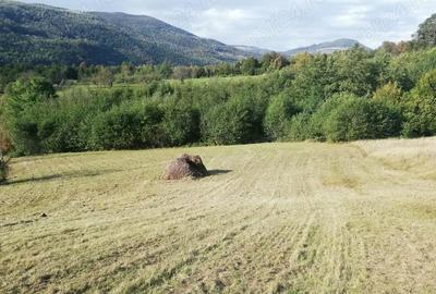 Teren de 7000 mp, în Negreni - 5