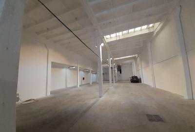 Spațiu industrial, de 750 mp, în Basarabia - 1