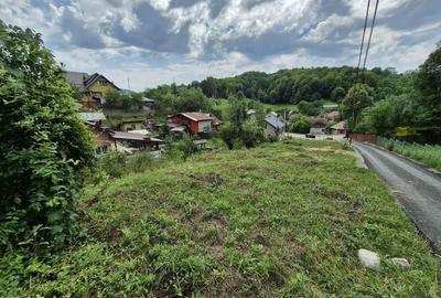 Teren intravilan-935 mp-dubla deschidere, Breaza-Valea Tarsei - 2