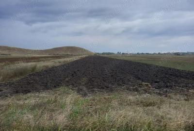 Teren de 7500 mp, în Mărăcineni - 2