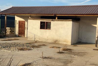 Spațiu comercial, de 450 mp, în Central - 2