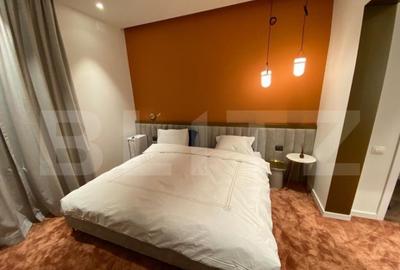 Ocazie! Penthouse, sauna ?i jacuzzi, zona Gradina Botanica Ocazie! Penthouse, sauna ?i jacuzzi, zona Gradina Botanica - 9