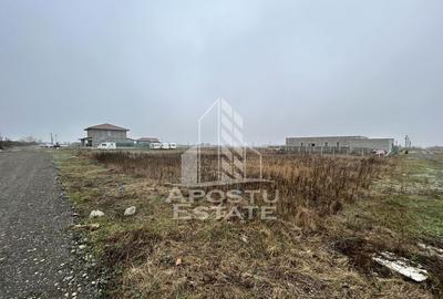 Teren de 530 mp, în Săcălaz