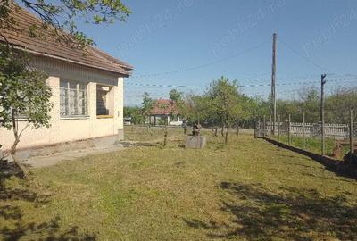 Casă cu 3 camere cu Teren 4123 Mp în Viile Satu Mare - 2