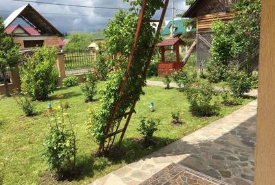 Casă cu 4 camere cu Teren 800 Mp în Ocna Șugatag - 6