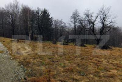 Teren intravilan zona deosebita in Zarnesti Teren intravilan zona deosebita in Zarnesti - 6