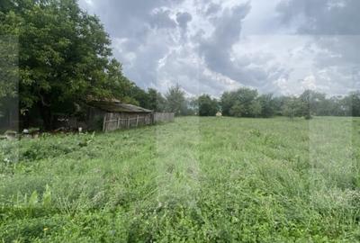 Casa traditionala cu teren generos – Belin - 11
