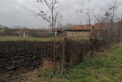 Teren de 1460 mp, în Satchinez - 4