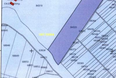 Teren de 50000 mp, în Sintești