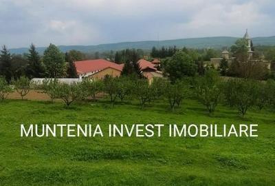 Casă cu 4 camere în Băjești - 2