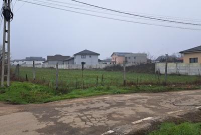 Teren Construcții intravilan de 5000 mp, în Malu Mare - 4