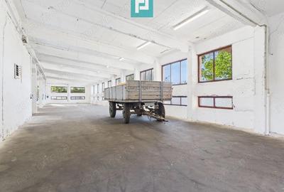 Hala industriala cu multiple destina?ii in Nadlac - 2