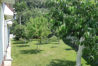 Casă cu 11 camere în Nucet - 5