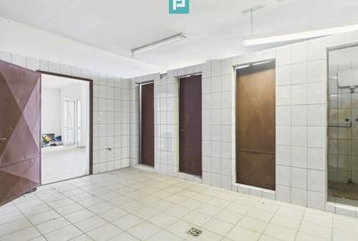 Hale 1800 mp fiecare – acces autostradă, Teiu, HD - 12