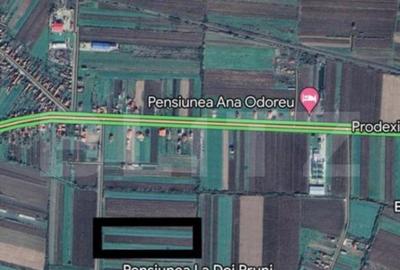 Teren Intravilan 2 ha, Berindan - 2