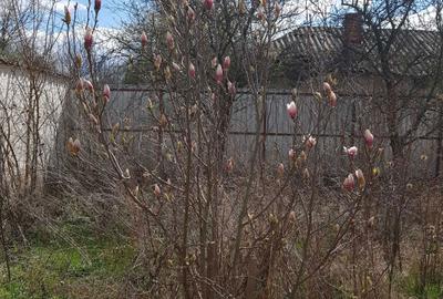 Casă cu 2 camere în Uliești - 5