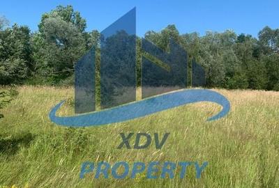 Teren in zona turistica Porumbacu de Sus - 2