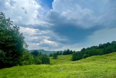 Cabana A frame situata la marginea padurii de foioase - 11