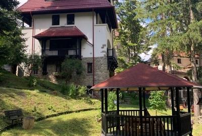 Apartament in vila cu arhitectura neoromaneasca + 917mp teren in curte amenajata - 1