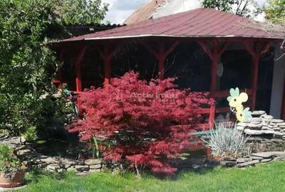 Locuinta ideala pentru familie sau investitie 200 mp utili, teren 1200 mp, Centru Alba Iulia - 1