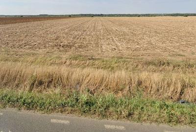 Teren extravilan localitatea Nuci, Ilfov - 2