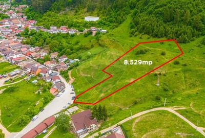 Teren Construcții intravilan de 8529 mp, în Bunloc - 2