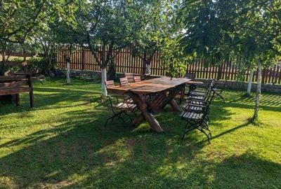 CASA\VILA DE VANZARE \COM. OBREJA\SAT IAZ\CARA?-SEVERIN - 24