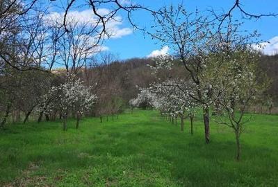 Casă cu 4 camere cu Teren 76 Mp în Scorțoasa - 7