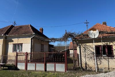 Casă individuală cu 4 camere cu Teren 2053 Mp în Panc-Săliște - 2