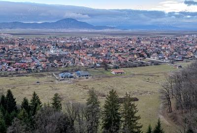 Teren de 3340 mp, în Cristian - 4
