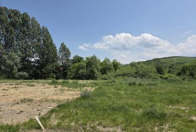 Teren de vânzare - 1.000 mp - Tărlungeni, zonă în dezvoltare - 4